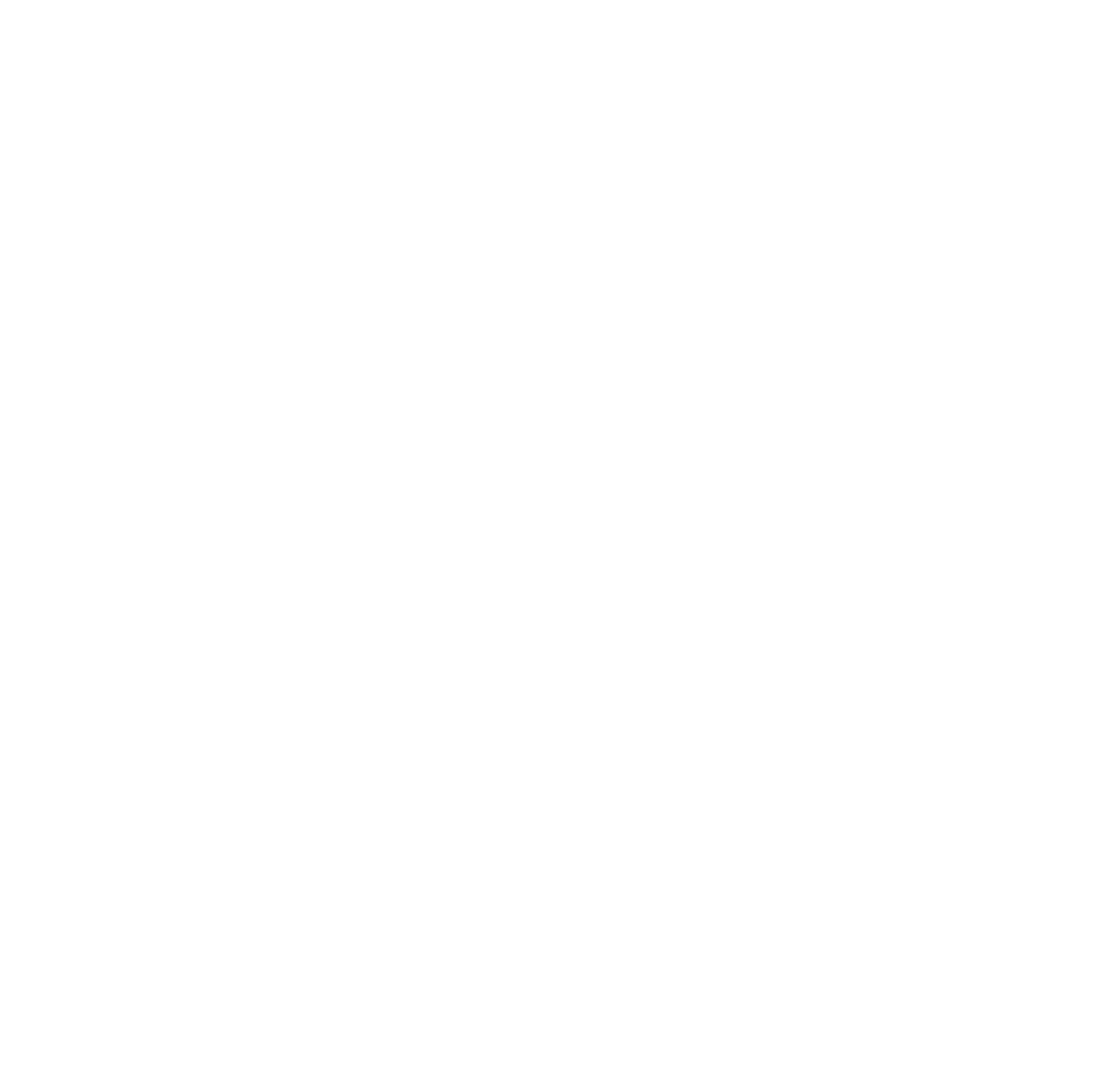 SLM Watermark